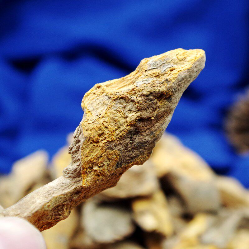 山海中药材海棠50g纯老皮厚厚皮火把花根雷公其他药食同源食品