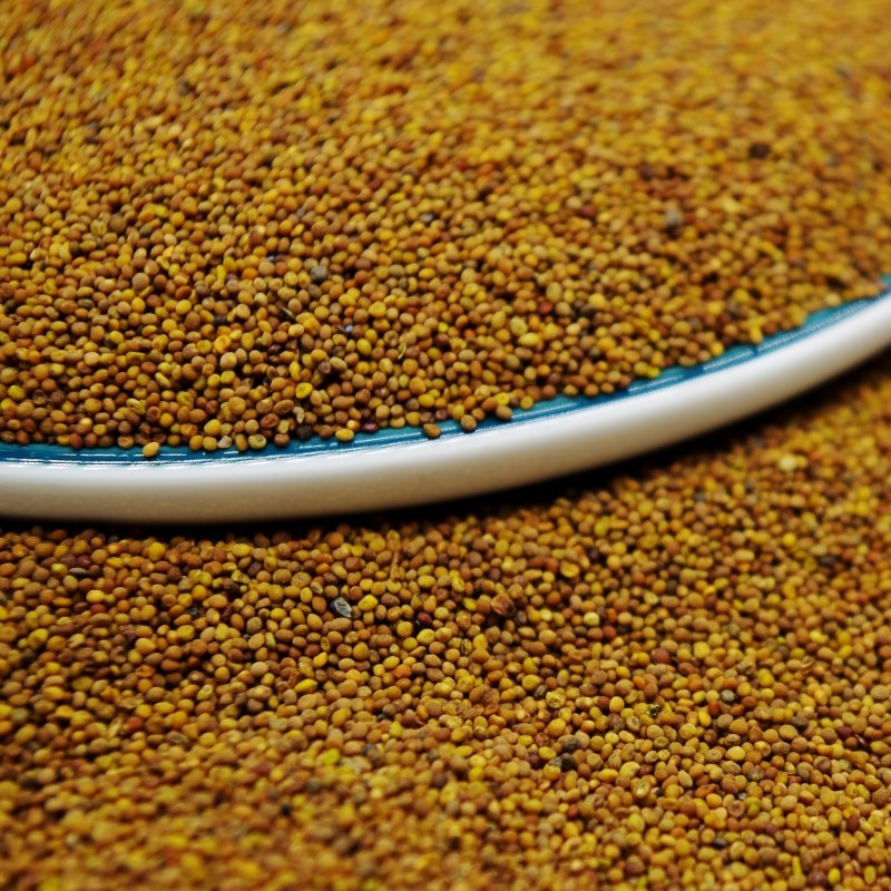 内蒙菟丝子500g中药材可搭枸杞淫羊藿韭菜籽粉茶其他药食同源食品