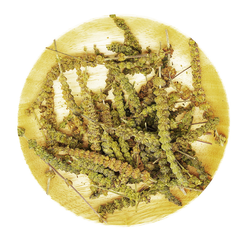 荆芥50克河北新鲜野生中药材产地发货新货大穗其他药食同源食品