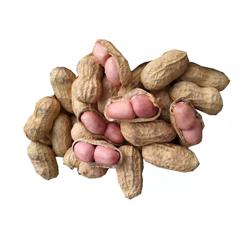 花生原味带壳2020新鲜农家铁锅炒熟红皮沙土花生