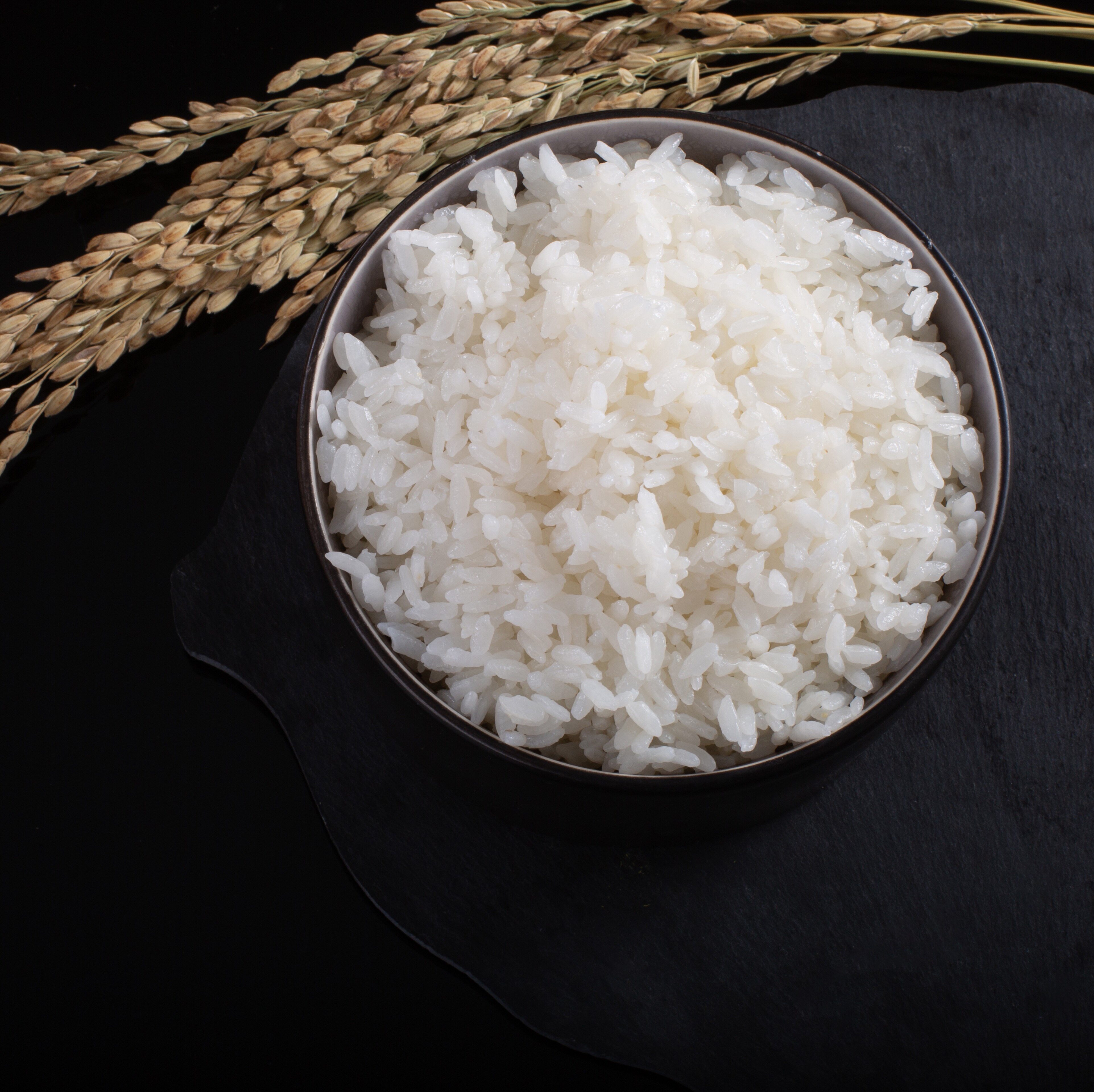 东北大米30天鲜米现磨现发胚芽黑龙江绥化礼物大米