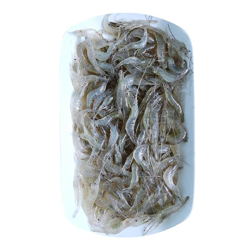 太湖白虾鲜活速冻小河虾生冷冻苏州包邮青虾冻虾