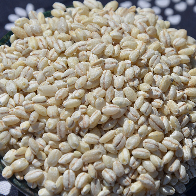 青稞白青稞大麦五谷杂粮特产高原青藏麦米正品去皮其它粮食