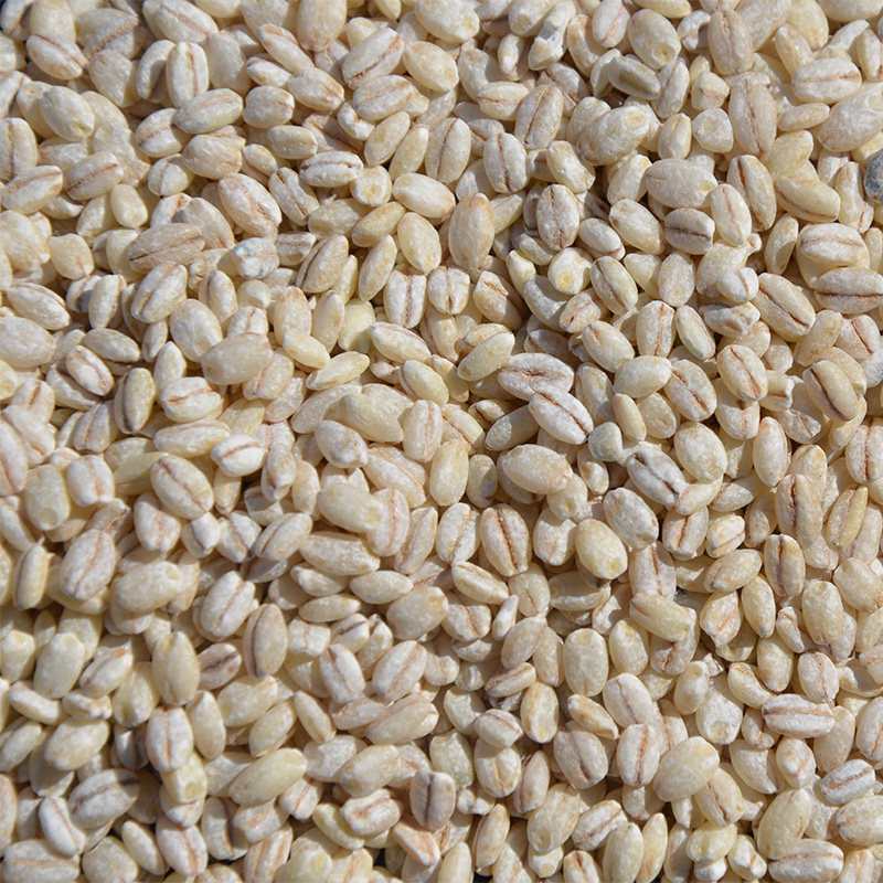 青稞吾爱吾谷西藏正品白青稞米青奶茶辅食粥米其它粮食