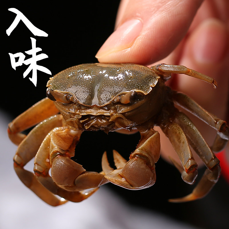 何其鲜醉白玉蟹醉蟹即食呛蟹大闸蟹醉毛蟹生腌制宁波舟山海鲜特产