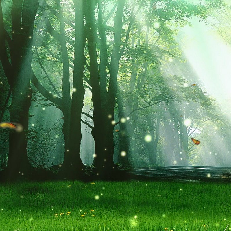 视频绿色森林婚礼梦幻森系开场婚庆舞台led设计素材源文件