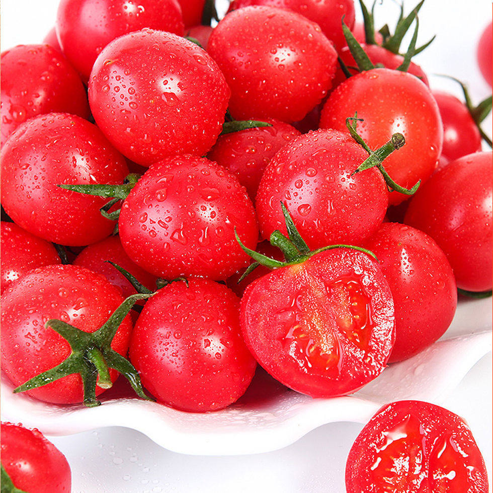 新鲜圣女果5斤小番茄广西水果精品当季千禧果蔬番茄