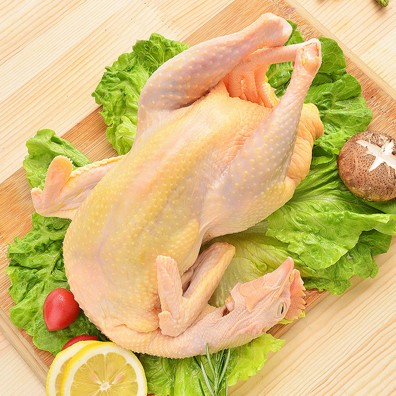 老母母鸡土鸡散养半亩正宗贵州黄油山林农家生鸡肉