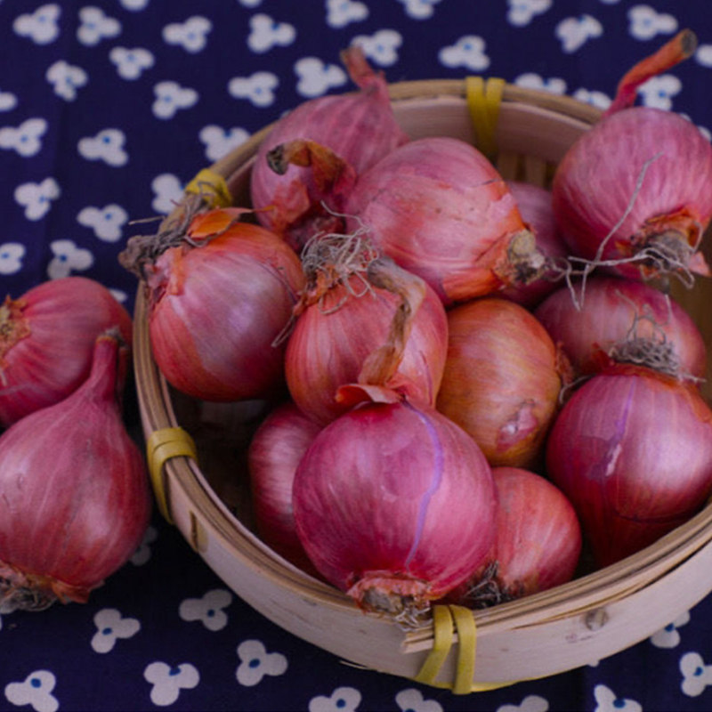 红葱头圆葱葱头广东新鲜5斤包邮东北小毛鬼子葱类