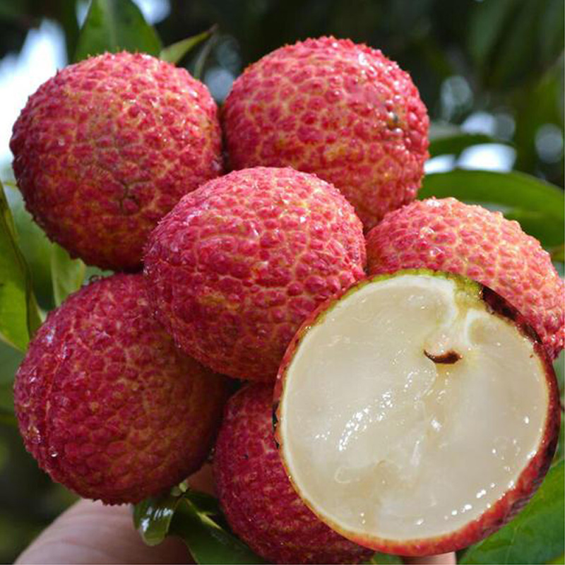 海南无核荔枝新鲜5斤孕妇水果顺丰空运包邮