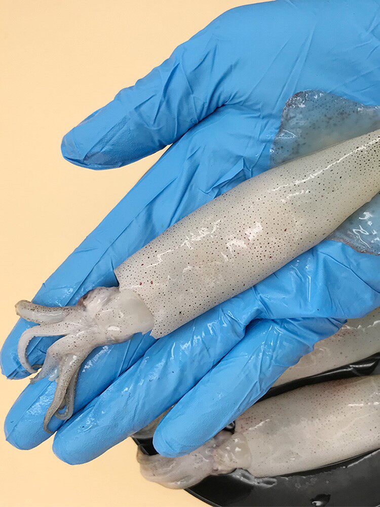 海兔鲜活冷冻满籽籽小海兔子全籽带籽海鲜水产手机保护套