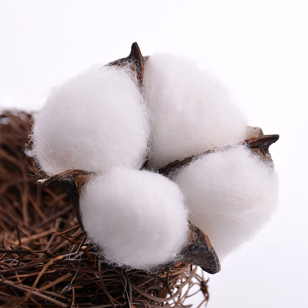 天然木棉木棉花花头干花花束装饰材料拍照道具花盒干花