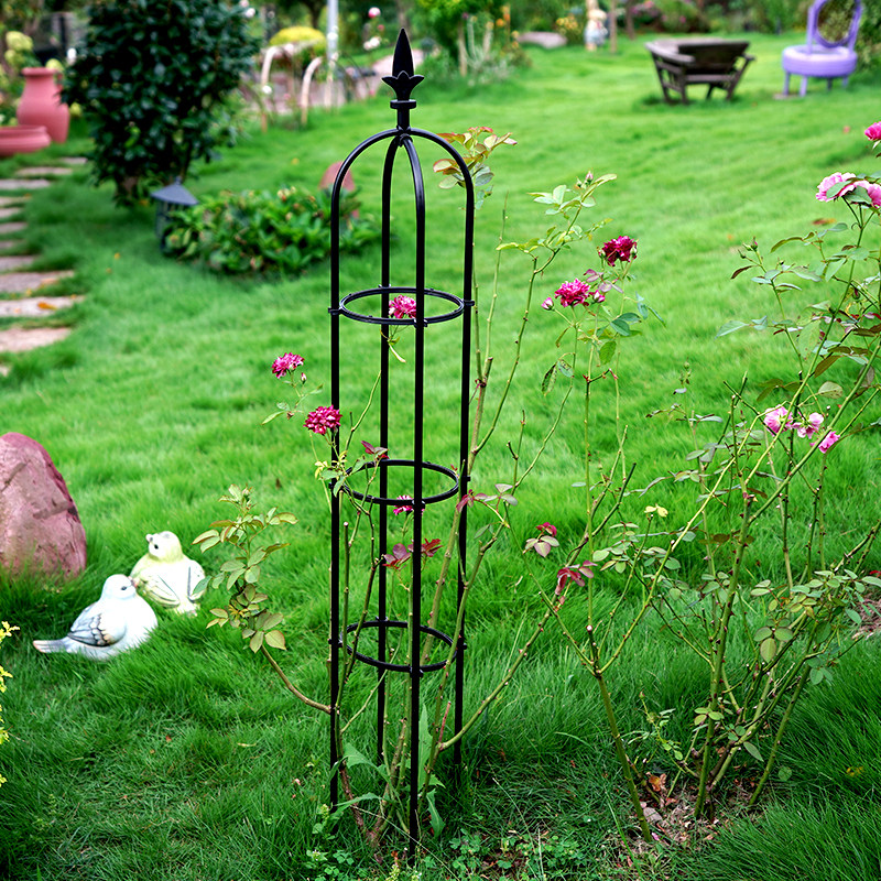 爬藤支架花盆铁线莲藤架月季牵引玫瑰花铁艺室外花架