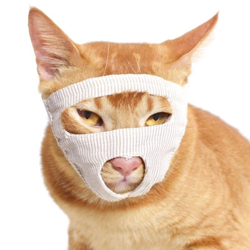 猫叫神器宠物猫咪嘴套咬人止叫器猫口罩嘴罩嘴套