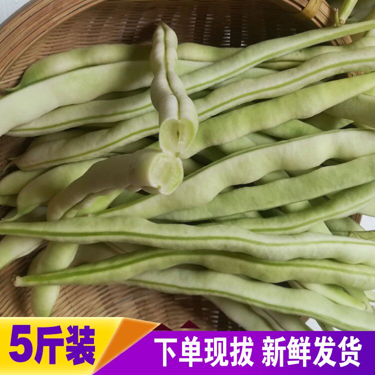 现摘粒白四季米豆豆角少扁老来芸豆东九白架豆手机保护套