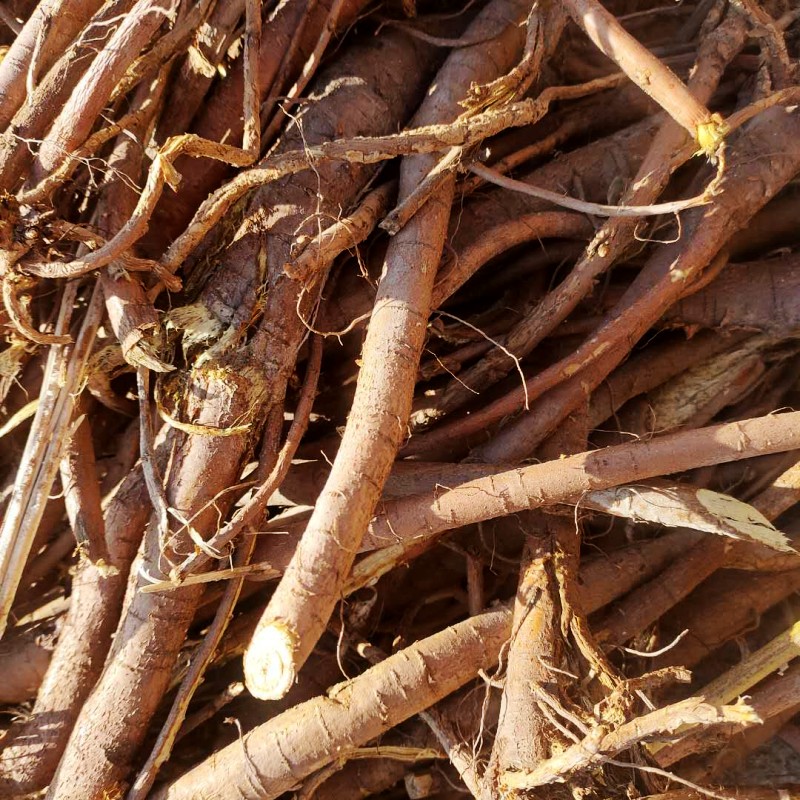 正品中药材甘肃特产新货红皮甘草整根干草棒子条子切片泡茶水磨牙