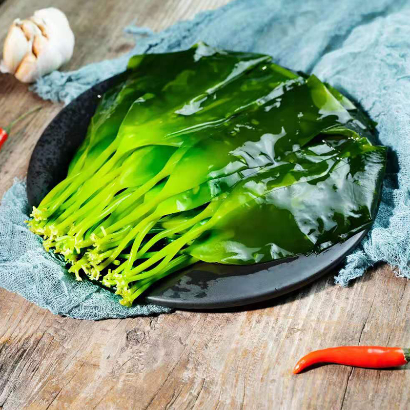 海带火锅娘娘苗嫩特级新鲜霞浦食材配菜头水海带