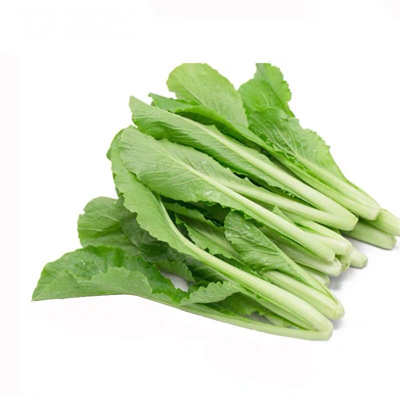 农家菜芽白菜芽青菜助农现摘蔬菜顺丰包邮菜类手机保护套