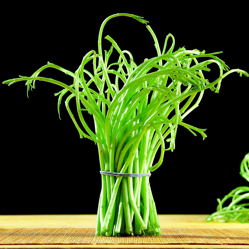 湖北篱蒿包邮3斤蒿根净泥脆嫩蔬菜当季新鲜其它