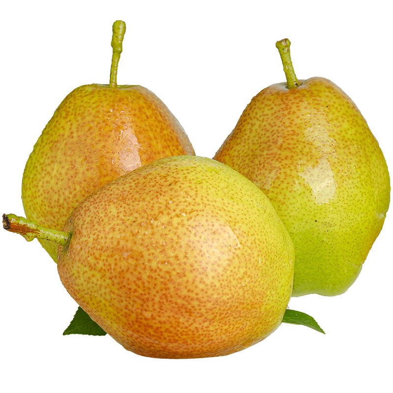 酥梨红香梨子新鲜水果当季整箱香梨10斤包邮应梨