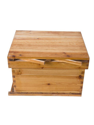 新款双王中蜂箱蜂箱杉木中蜂蜂箱从化式土蜂箱龚凫羌蜂箱全套巢框