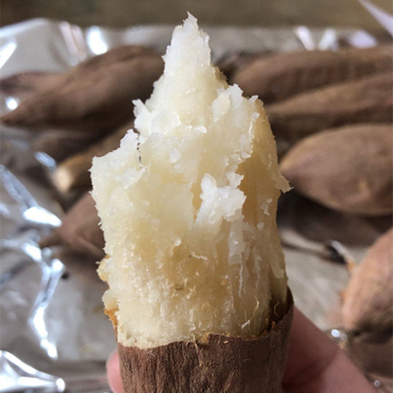 山东白薯粉地瓜糯白薯粉沙地哈密超甜红薯糖心笔记本零部件