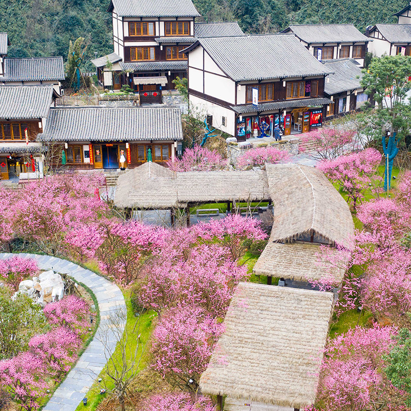 上饶葛仙村度假区5店1-2晚 双早 双人景区门票等