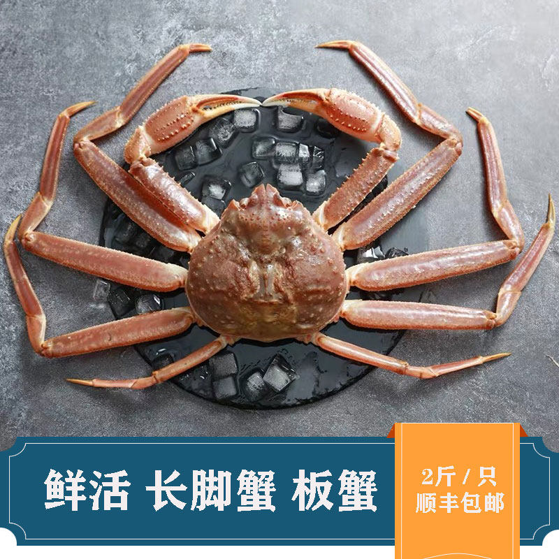鲜活长脚特大板蟹超大松叶帝王蟹雪海鲜螃蟹帝王蟹