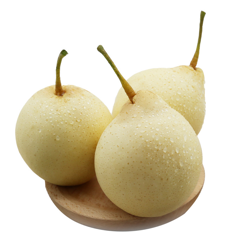 河北晋州鸭梨新鲜水果当季现摘现发