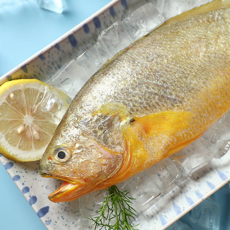 中粮凌鲜东海生态大黄鱼新鲜海鲜海400g黄鱼