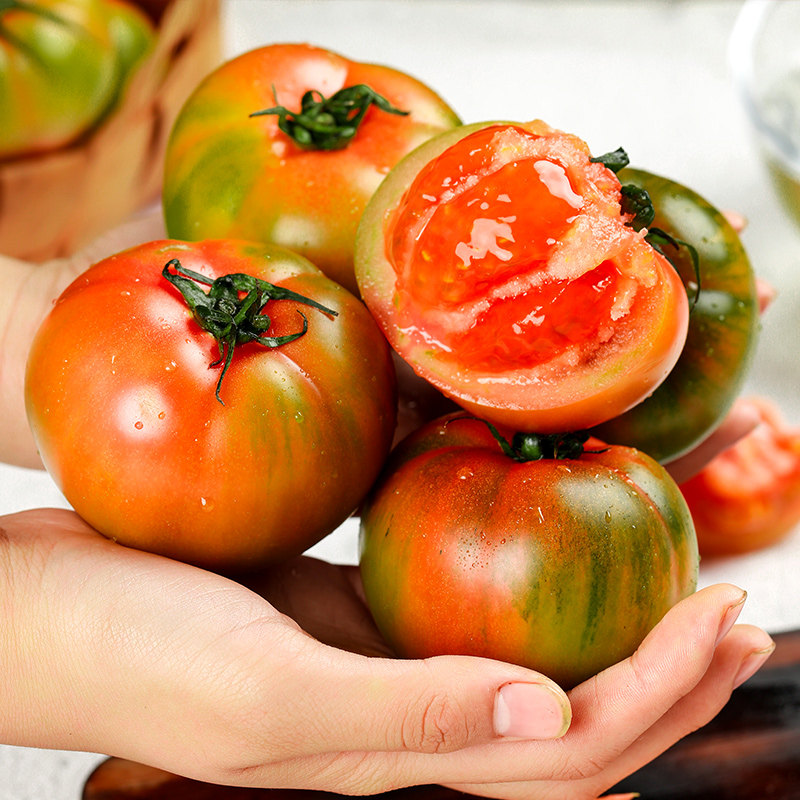 柿子铁皮草莓盘锦碱地新鲜应季水果丹东西红柿番茄