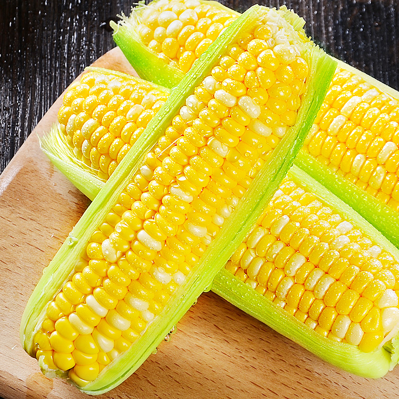 云南金银水果玉米10斤新鲜现摘生吃玉米棒子粒新鲜玉米