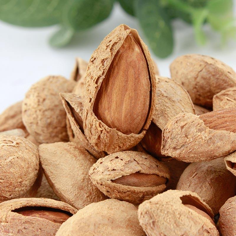 原味巴旦新疆坚果带壳杏仁扁桃桃仁无添加薄壳杏仁