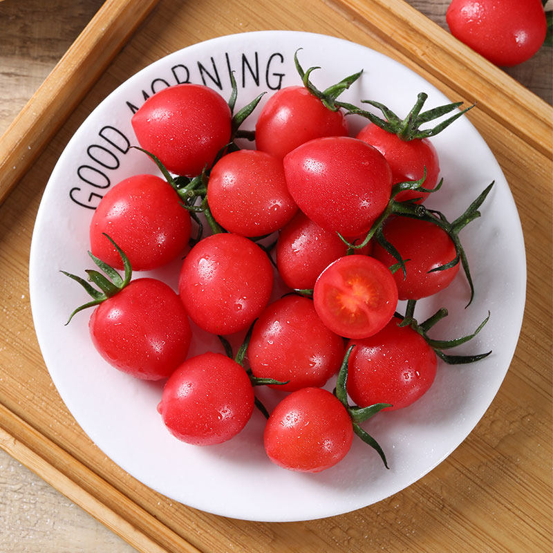 小番茄寿光蔬菜新鲜贝贝圣女果生吃孕妇水果果农番茄