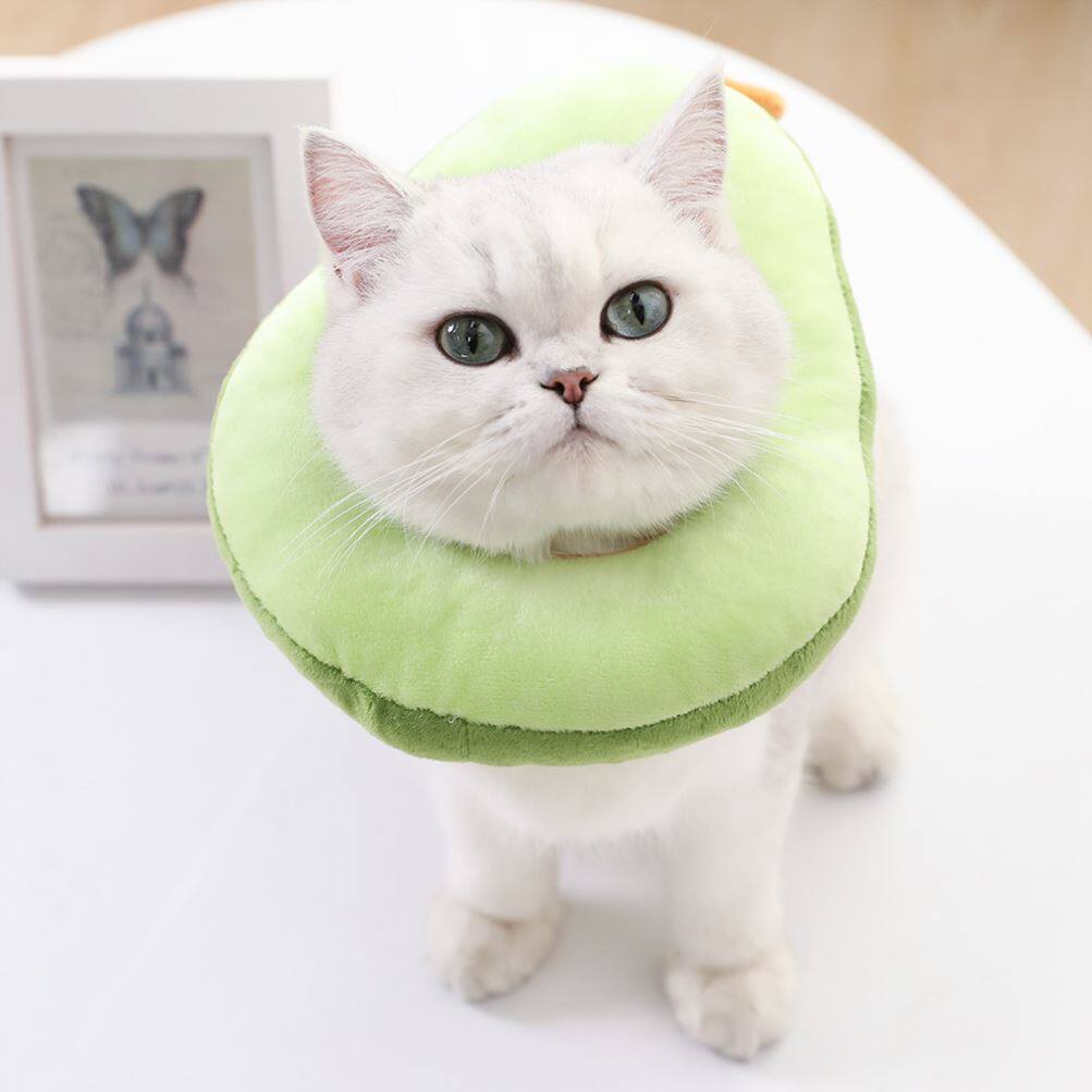 猫咪吐司头套牛油伊丽莎白圈折东方暹罗可爱恶搞面包片项圈