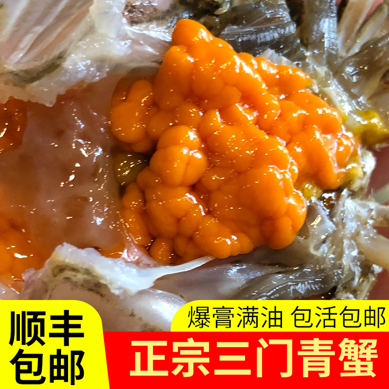 三门蟹公母混发鲜活特大水产红鲟猷蠓超大螃蟹青蟹