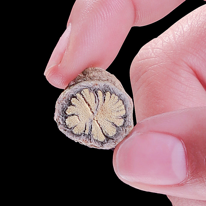 鸡屎新鲜500g中药鸡矢藤根正品散装中药材野生其他药食同源食品