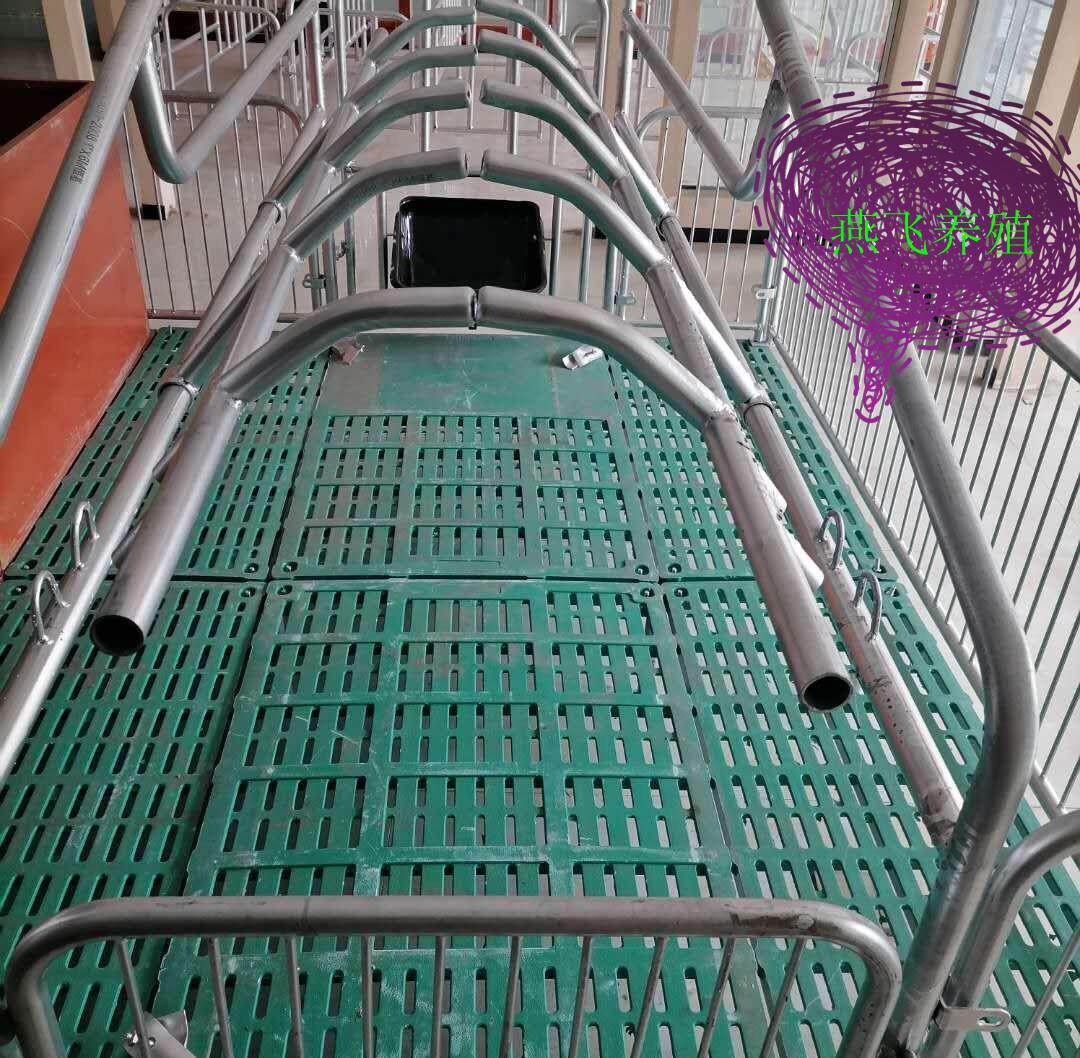 双体母猪产床限位栏热镀锌猪笼分娩保育两用猪栏猪笼