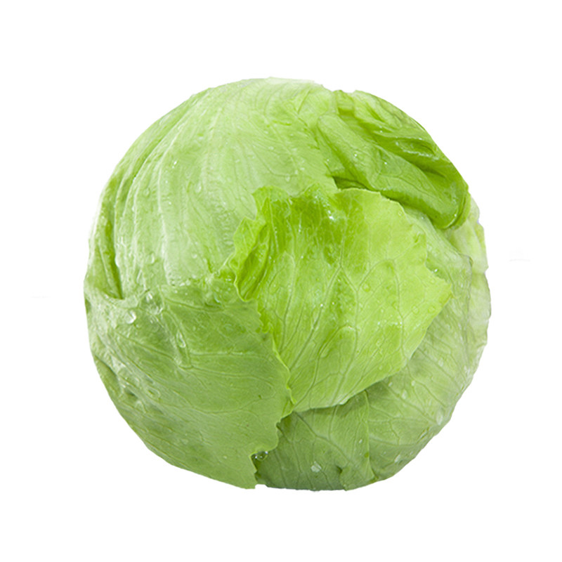 生菜顺丰包邮5斤新鲜汉堡专用沙拉蔬菜即食其它