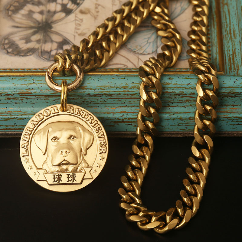 链子金色狗狗项链纯铜狗链拉布拉多金毛装饰用项圈项圈