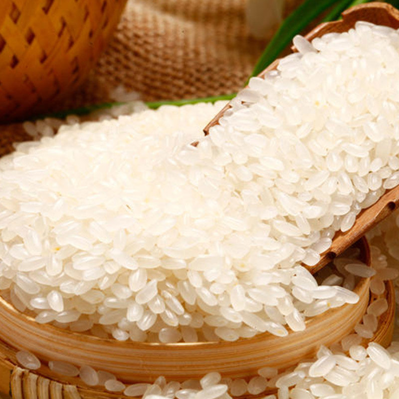 黑龙江大米新米5kg中国一级稻米龙稻东北粳米大米