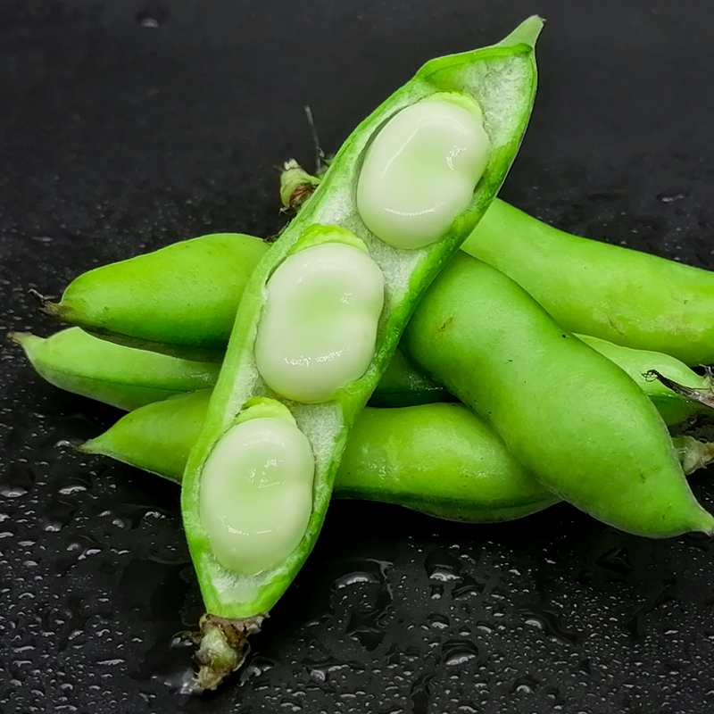 蚕豆新鲜5斤云南农家带壳生兰花胡豆佛青豆荚新鲜豆类