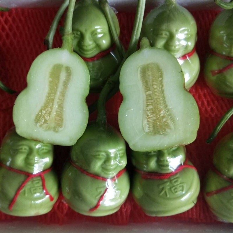 水果人参果新鲜福娃人生人形寿果10颗装整箱包手机保护套