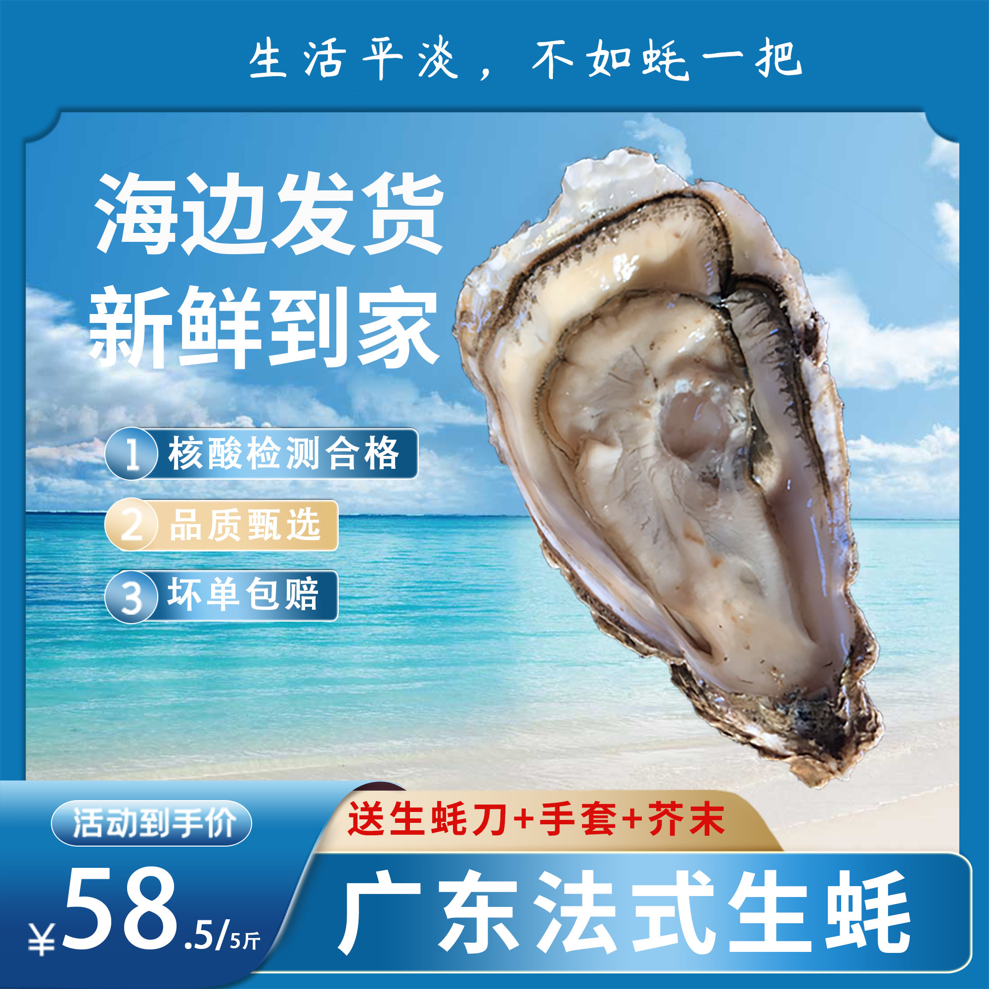 台山生蚝鲜活10斤特大新鲜5斤带壳野生生生生蚝