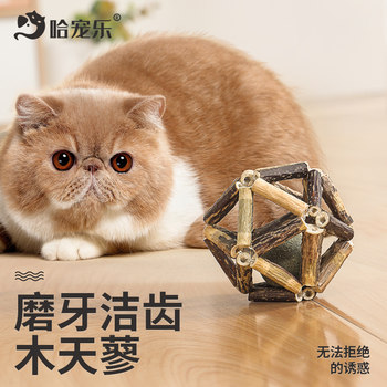 Catnip Teething Stick Cat Toy Wooden Polygonum Funny Cat Stick Bite-resistant Kitten Toy ຄວາມສຸກຂອງຕົນເອງ ແລະຄວາມເບື່ອໜ່າຍ ເຄື່ອງໃຊ້ແມວ