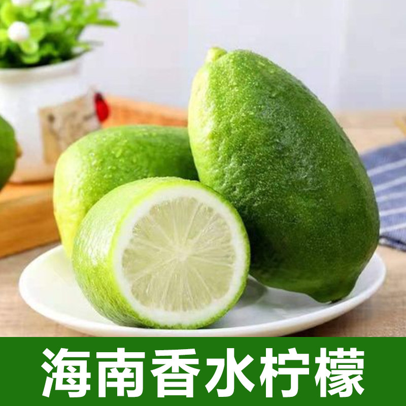 海南香水柠檬当季新鲜水果广东无籽青柠檬5斤柠檬