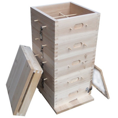 格子箱中蜂方格子蜜蜂格子箱中蜂土养箱中蜂格子箱