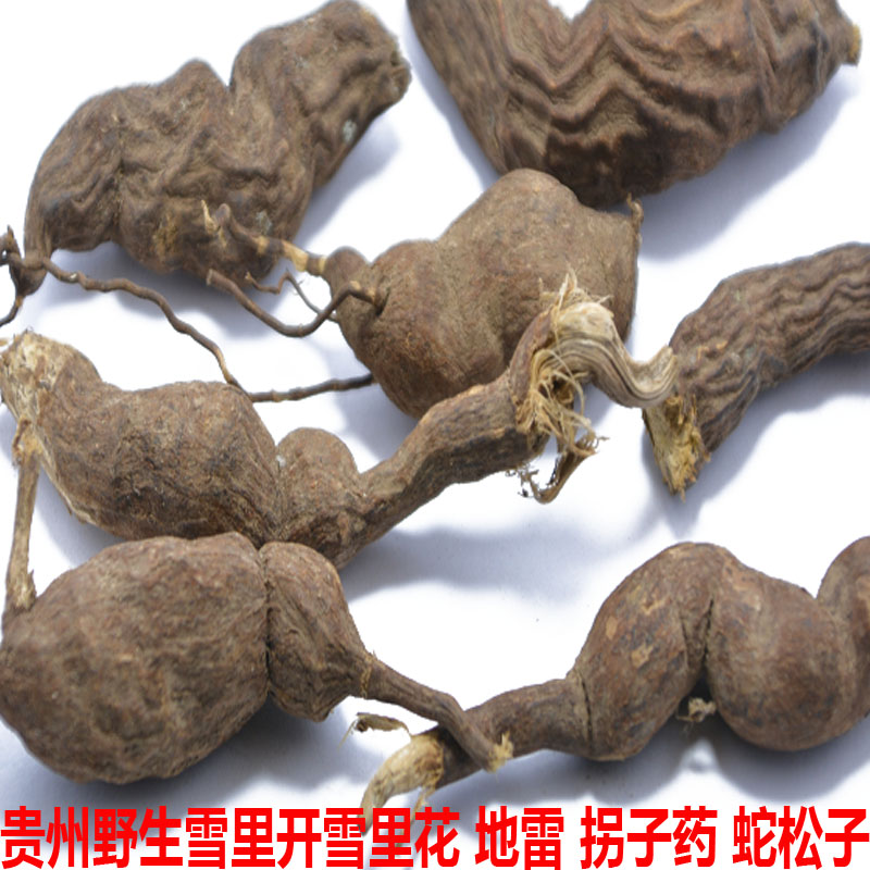 贵州中药材野生雪里开生货拐子药地雷根单叶铁线莲蛇松子250g包邮