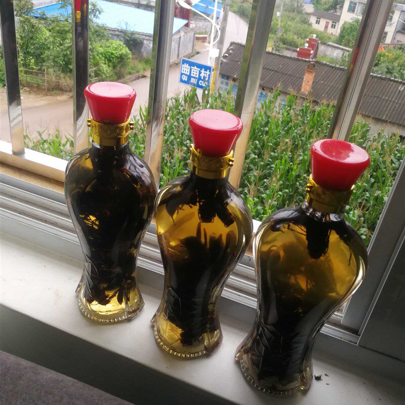 蜂酒黄蜂装包2斤红娘黑蜂大黑土蜂活体马蜂创意礼盒