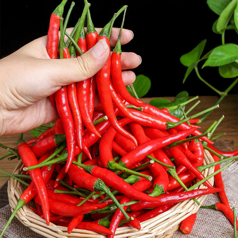 小米米辣椒新鲜小米椒5斤特辣指天椒红辣椒绿色五七辣椒